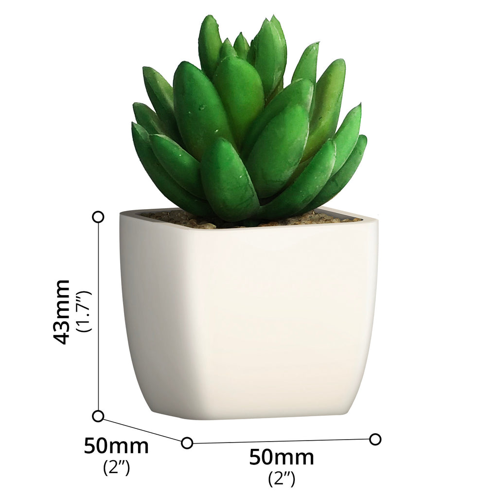 Artificial Plant - Asters Maldives