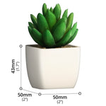 Artificial Plant - Asters Maldives