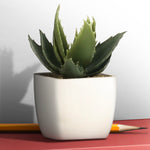 Artificial Plant - Asters Maldives