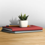 Artificial Plant - Asters Maldives