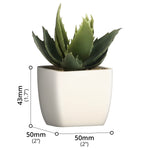 Artificial Plant - Asters Maldives