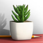 Artificial Plant - Asters Maldives