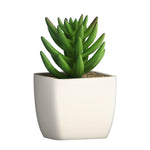 Artificial Plant - Asters Maldives