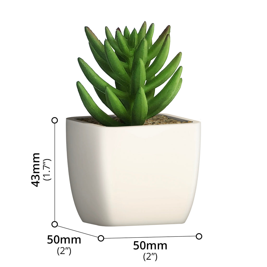 Artificial Plant - Asters Maldives