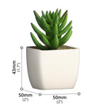 Artificial Plant - Asters Maldives