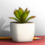 Artificial Plant - Asters Maldives