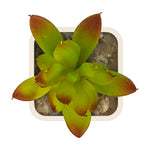 Artificial Plant - Asters Maldives