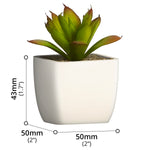 Artificial Plant - Asters Maldives