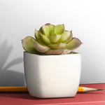 Artificial Plant - Asters Maldives