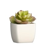 Artificial Plant - Asters Maldives