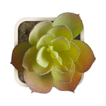 Artificial Plant - Asters Maldives