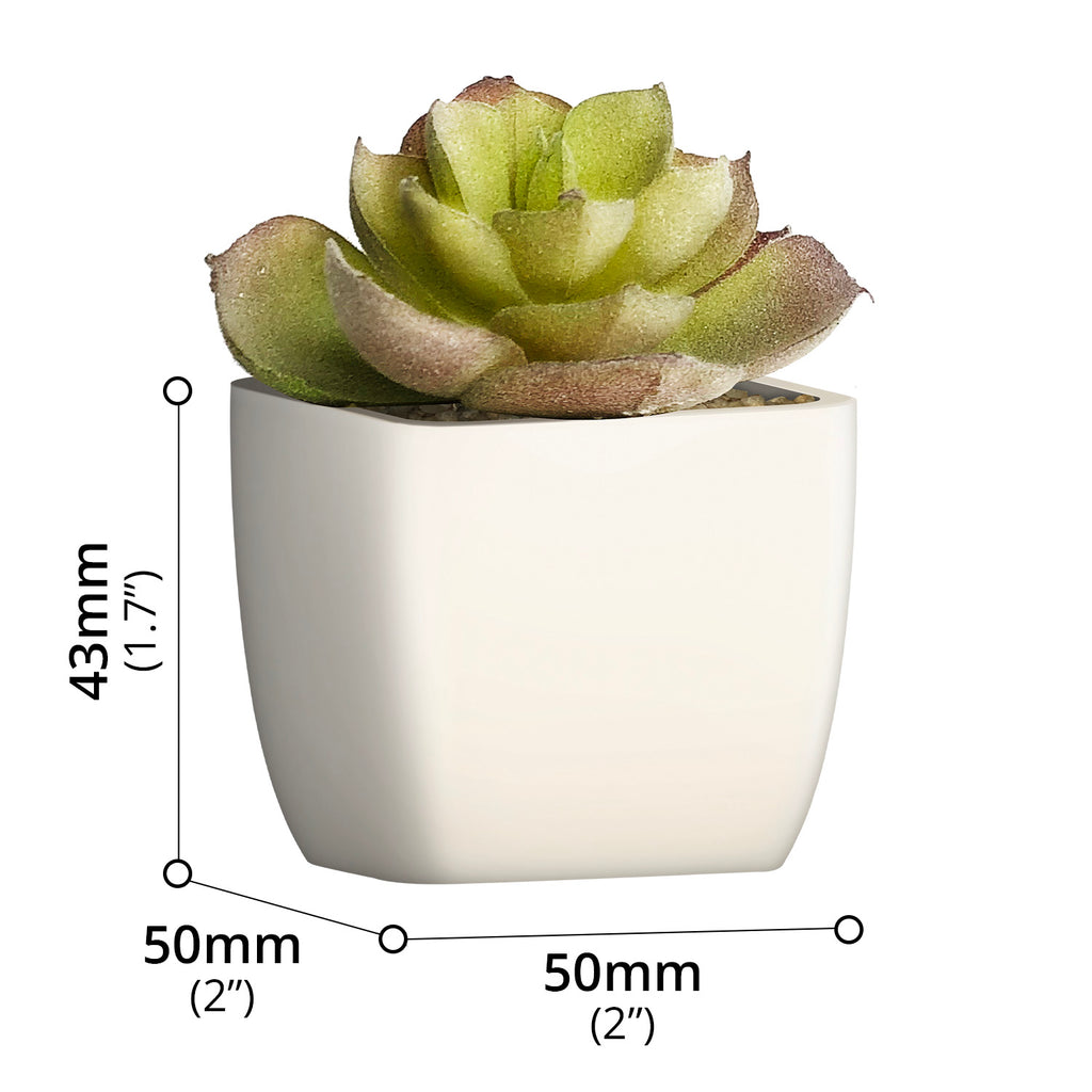 Artificial Plant - Asters Maldives