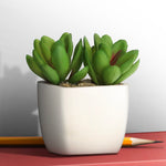 Artificial Plant - Asters Maldives