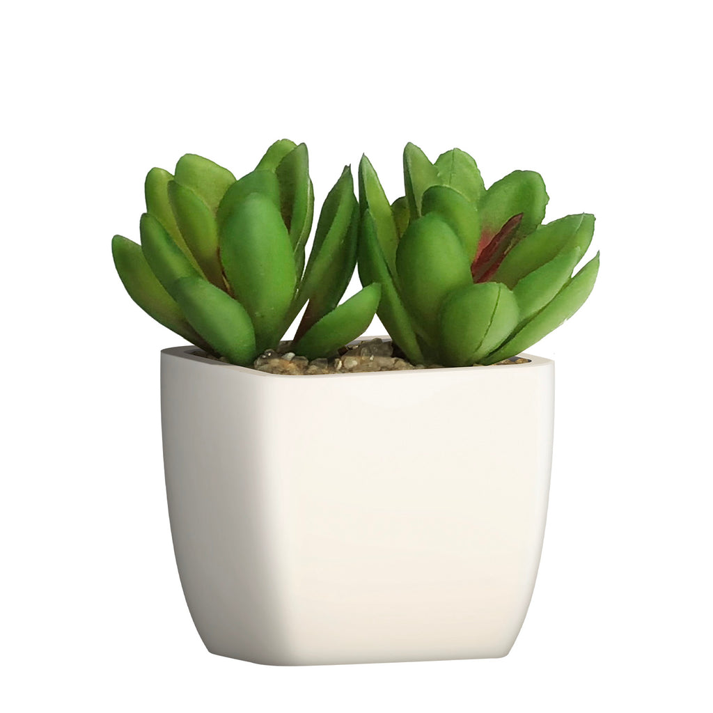 Artificial Plant - Asters Maldives