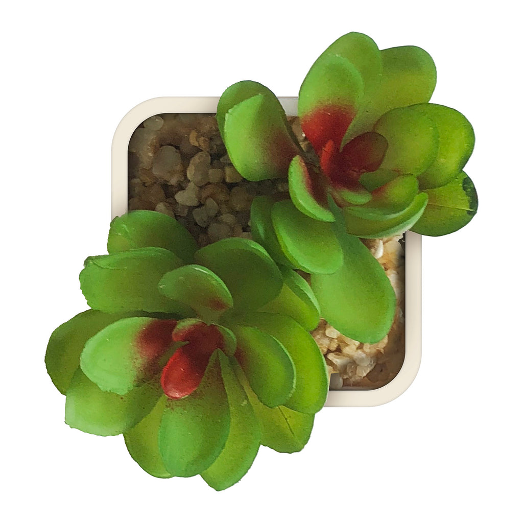 Artificial Plant - Asters Maldives