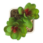 Artificial Plant - Asters Maldives