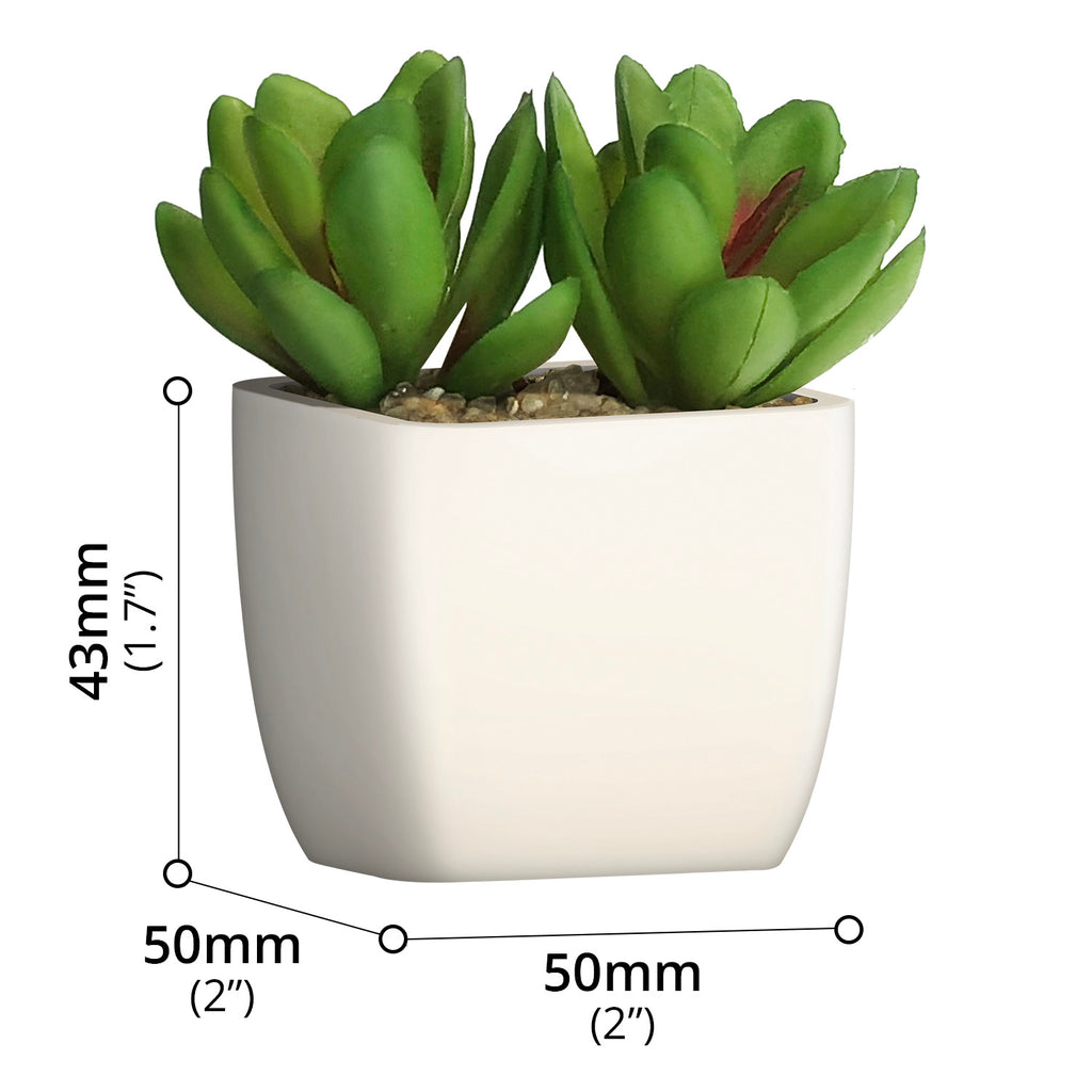 Artificial Plant - Asters Maldives