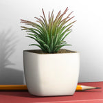 Artificial Plant - Asters Maldives