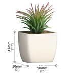 Artificial Plant - Asters Maldives