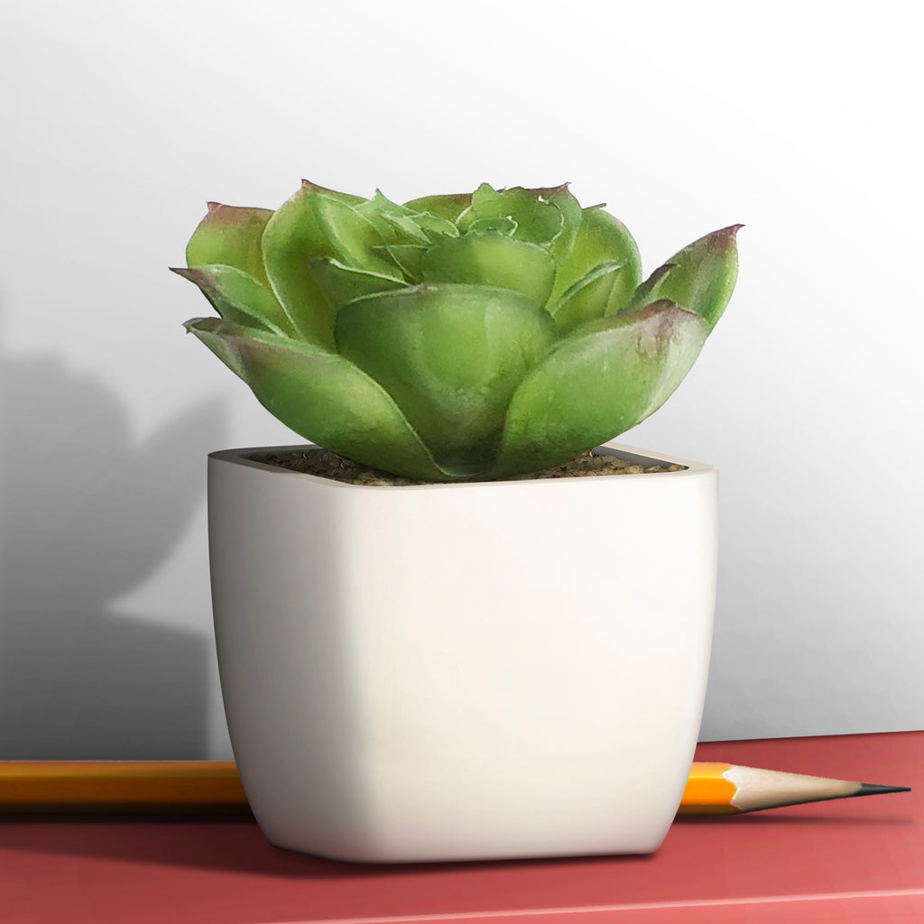 Artificial Plant - Asters Maldives