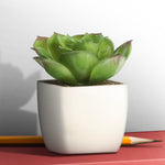 Artificial Plant - Asters Maldives