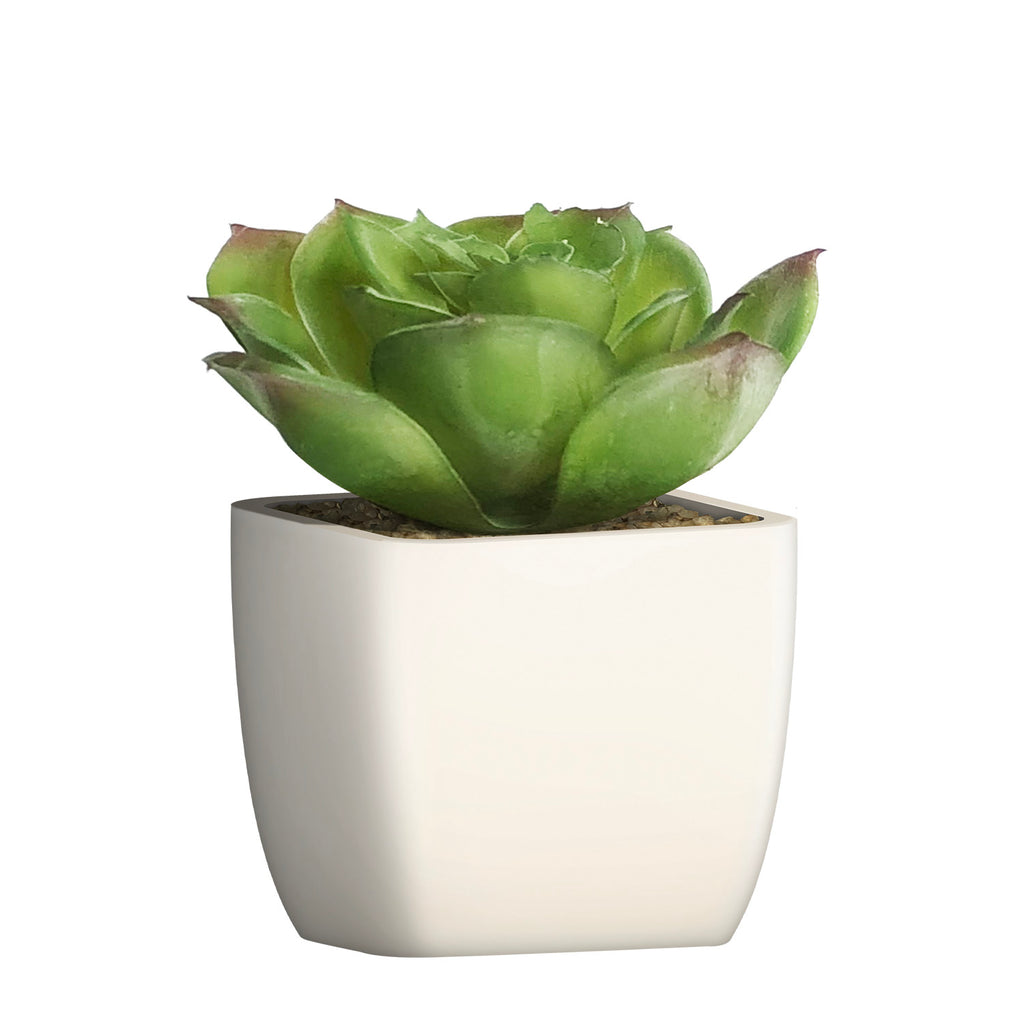 Artificial Plant - Asters Maldives