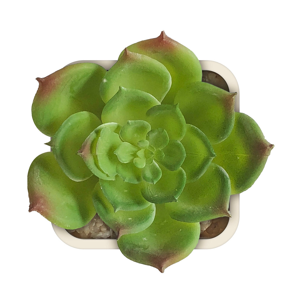 Artificial Plant - Asters Maldives