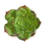 Artificial Plant - Asters Maldives