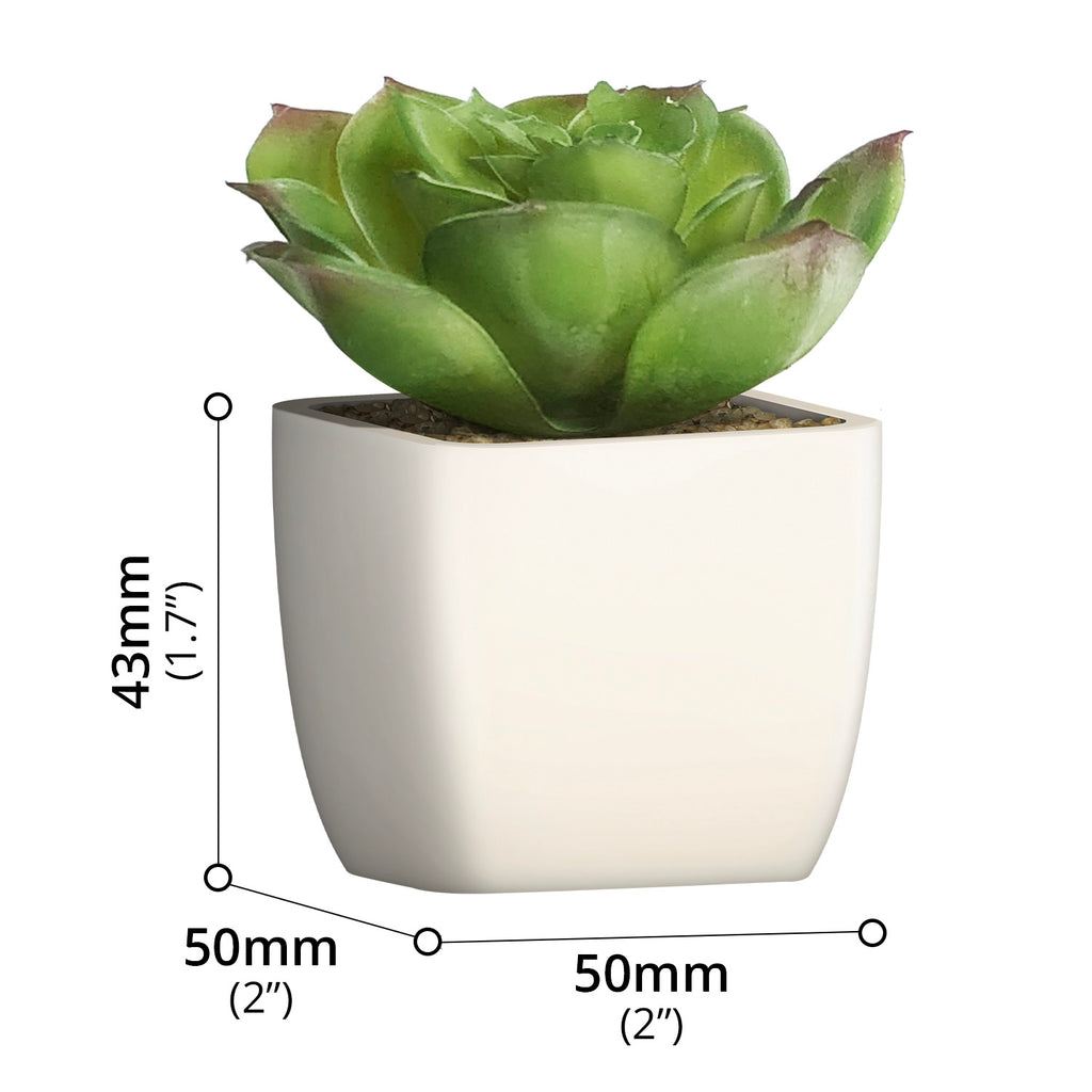 Artificial Plant - Asters Maldives