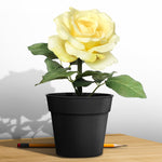 Artificial Flower - Asters Maldives