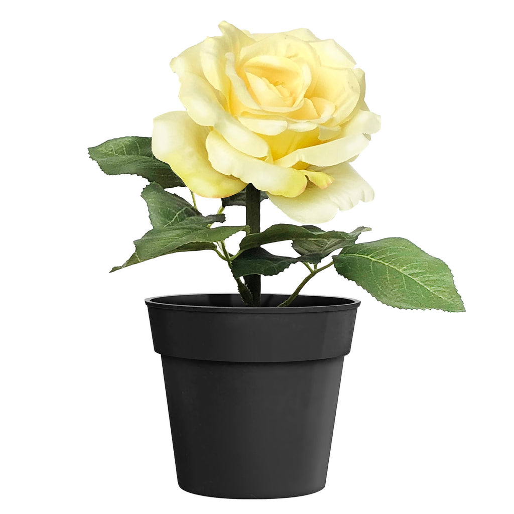 Artificial Flower - Asters Maldives