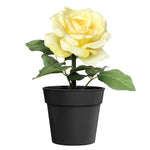 Artificial Flower - Asters Maldives