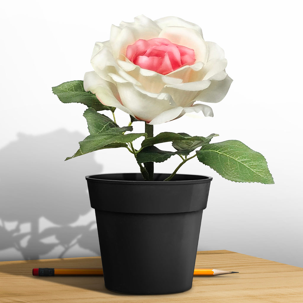 Artificial Flower - Asters Maldives