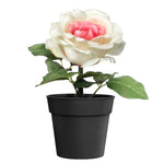 Artificial Flower - Asters Maldives