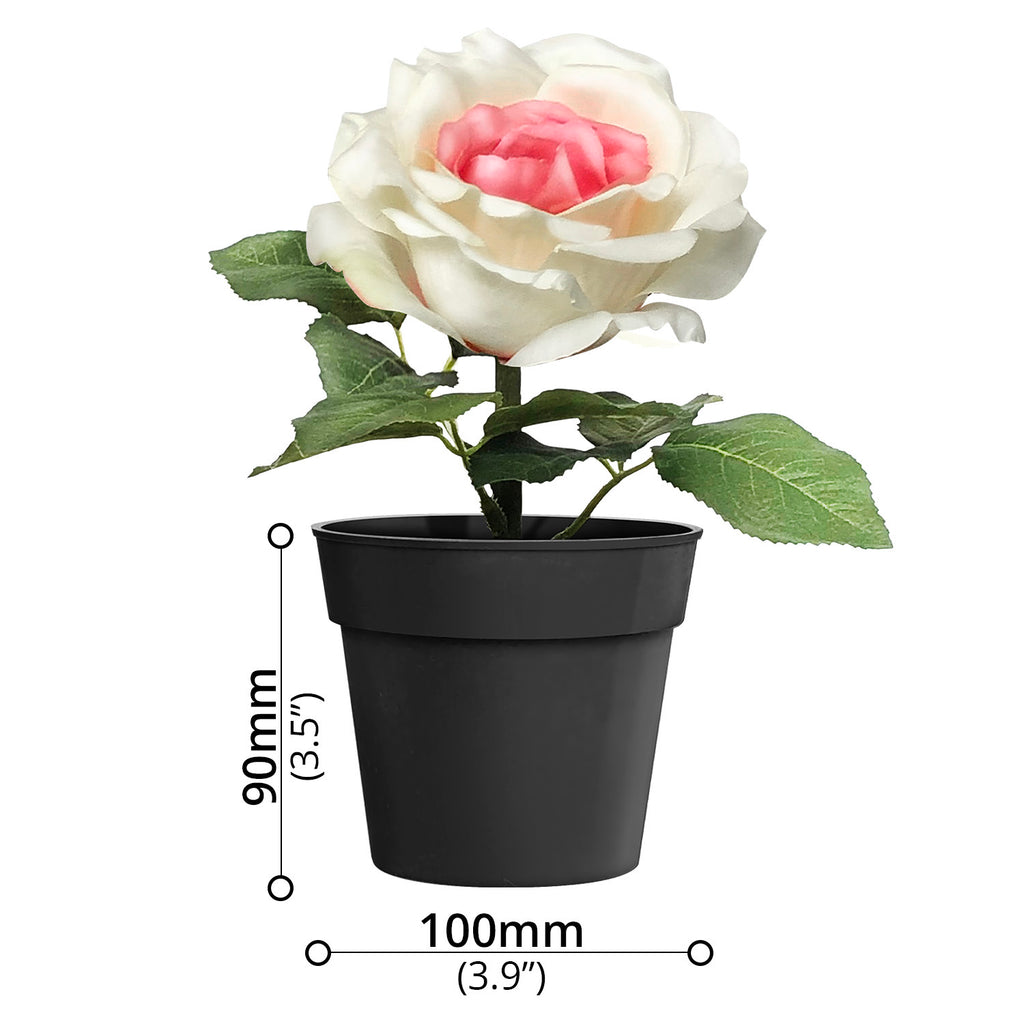 Artificial Flower - Asters Maldives