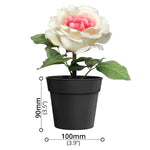 Artificial Flower - Asters Maldives