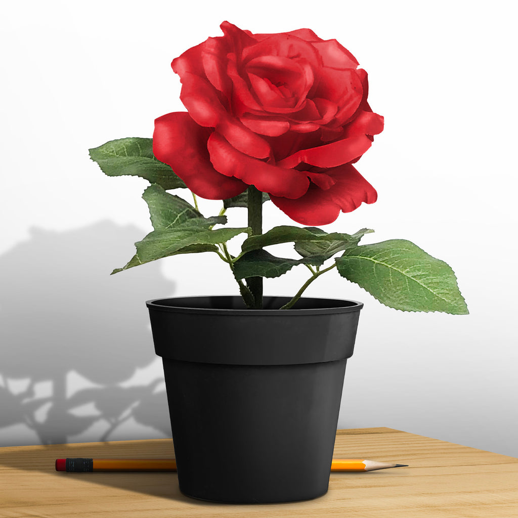 Artificial Flower - Asters Maldives