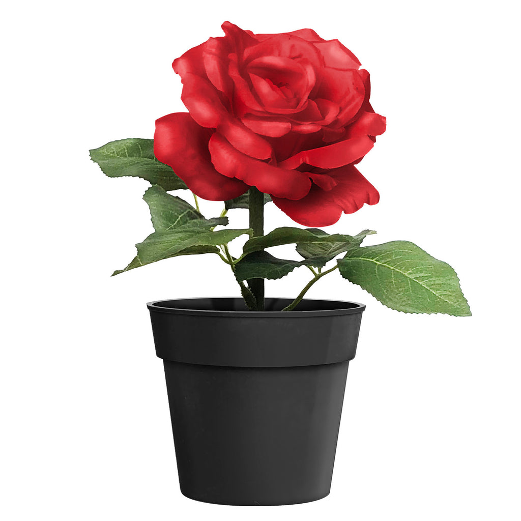 Artificial Flower - Asters Maldives