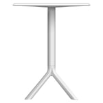 Dining Set - Asters Maldives