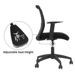 Medium Back Chair - Asters Maldives