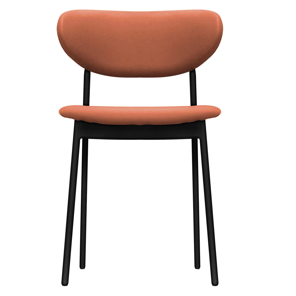 Dining Chair - Asters Maldives