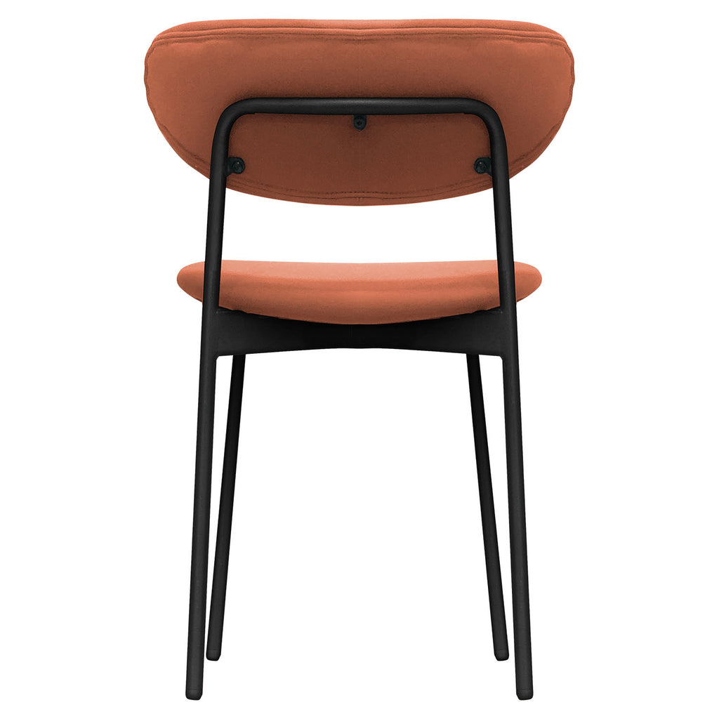 Dining Chair - Asters Maldives