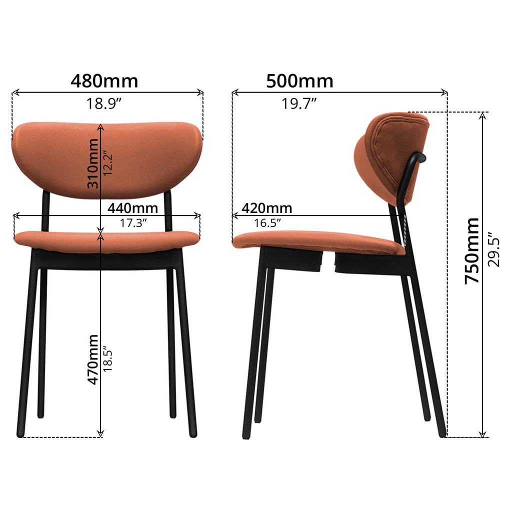 Dining Chair - Asters Maldives