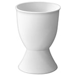 Egg Tray - Asters Maldives