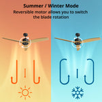 Ceiling Fan (Ø52") - Asters Maldives