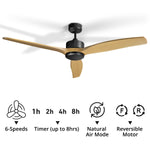 Ceiling Fan (Ø52") - Asters Maldives