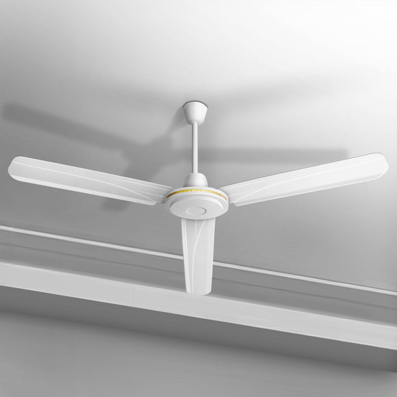 Ceiling Fan (Ø48