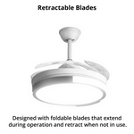 Ceiling Fan (Ø42") - Asters Maldives