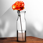 Vase (Ø6 x 19.5cm) - Asters Maldives