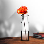 Vase (Ø6 x 19.5cm) - Asters Maldives